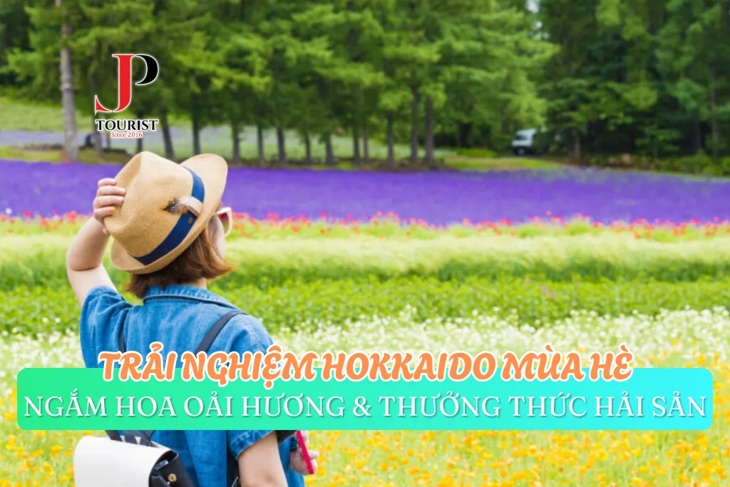 HOKKAIDO MÙA HÈ: NGẮM HOA OẢI HƯƠNG & THƯỞNG THỨC HẢI SẢN