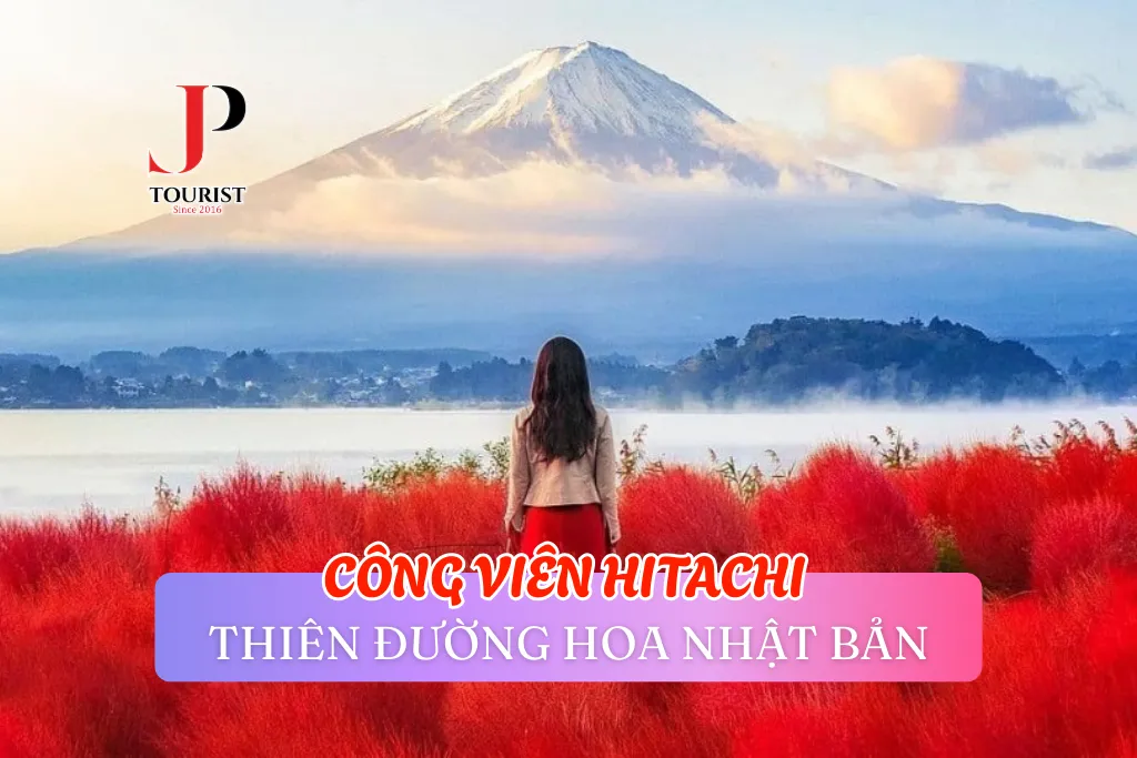 CÔNG VIÊN HITACHI - CÔNG VIÊN KHÔNG THỂ BỎ LỠ KHI DU LỊCH NHẬT BẢN
