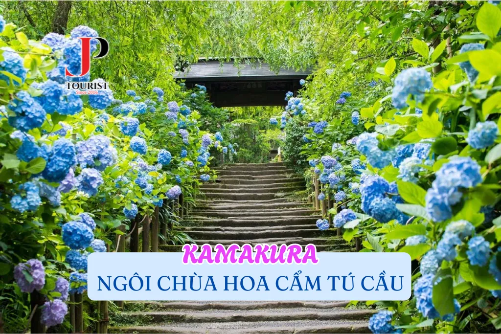 KAMAKURA - NGÔI CHÙA HOA CẨM TÚ CẦU