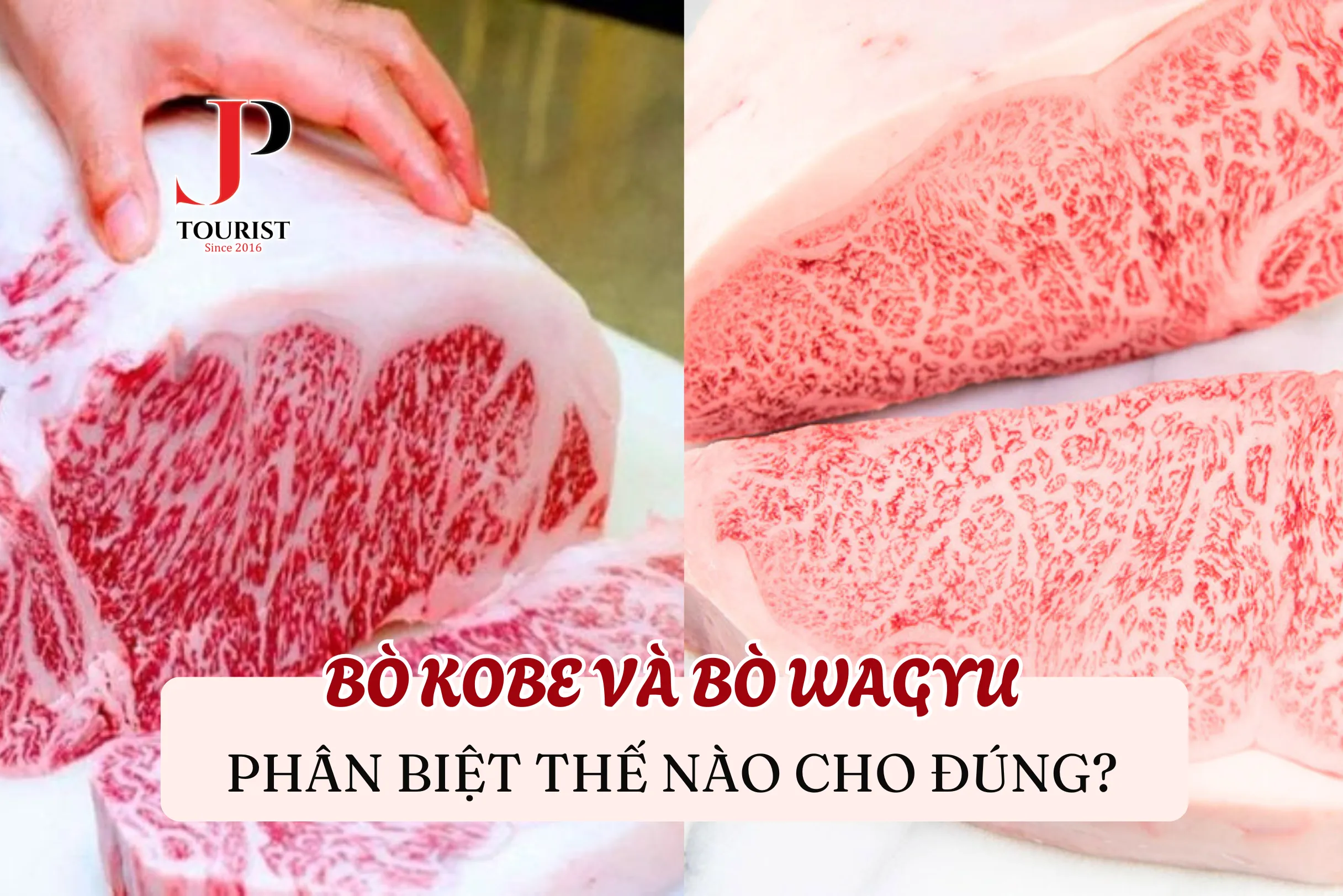 BÒ KOBE VÀ BÒ WAGYU – PHÂN BIỆT THẾ NÀO CHO ĐÚNG?