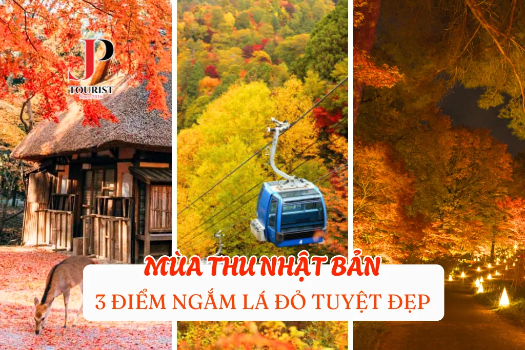 MÙA THU NHẬT BẢN: 3 ĐIỂM NGẮM LÁ ĐỎ TUYỆT ĐẸP