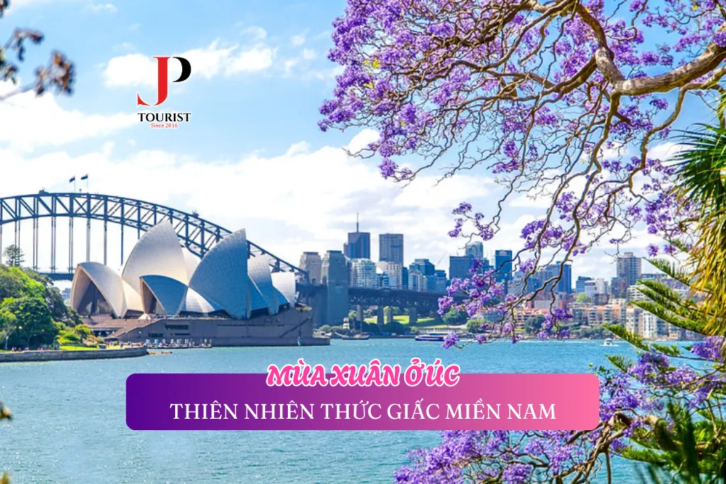 MÙA XUÂN Ở ÚC – THIÊN NHIÊN THỨC GIẤC MIỀN NAM