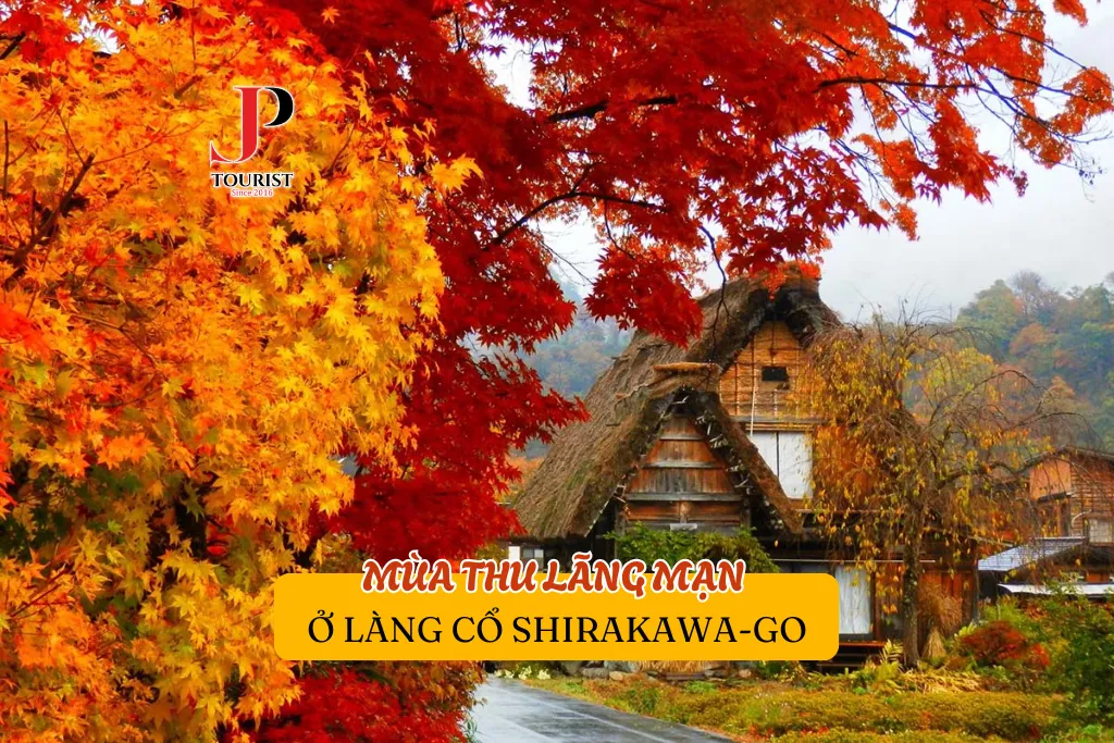 MÙA THU LÃNG MẠN Ở LÀNG CỔ SHIRAKAWA-GO