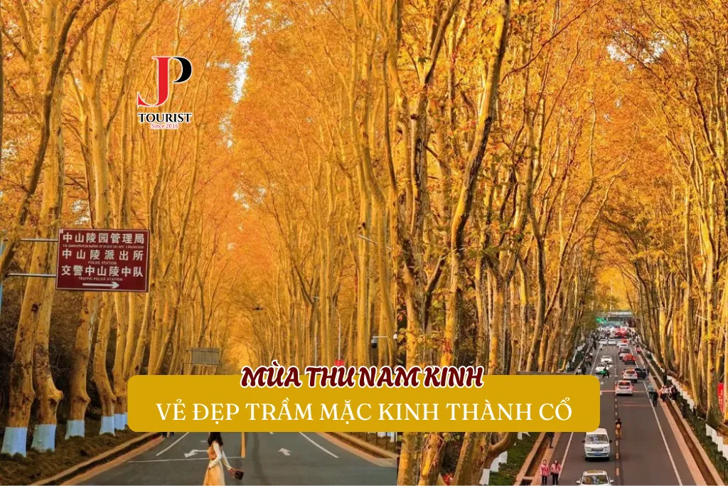 MÙA THU NAM KINH – VẺ ĐẸP TRẦM MẶC KINH THÀNH CỔ