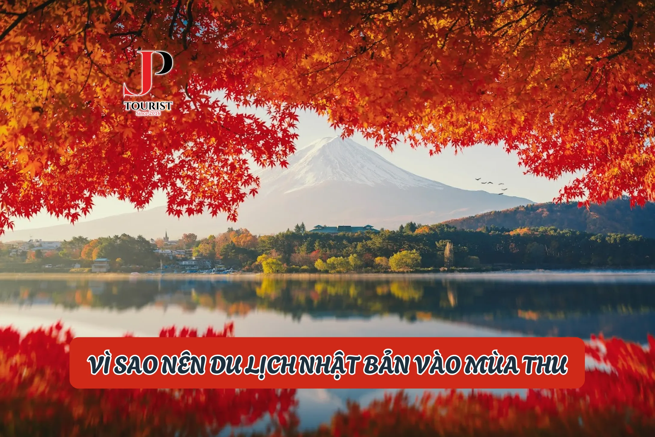 VÌ SAO NÊN DU LỊCH NHẬT BẢN VÀO MÙA THU