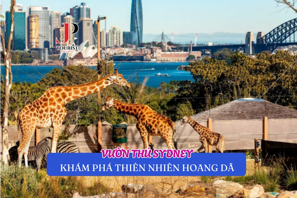 VƯỜN THÚ SYDNEY – KHÁM PHÁ THIÊN NHIÊN HOANG DÃ
