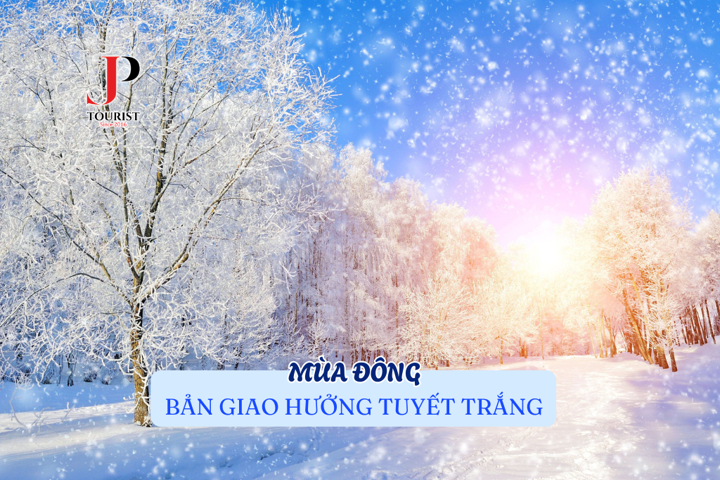 BẢN GIAO HƯỞNG CỦA TUYẾT TRẮNG MÙA ĐÔNG