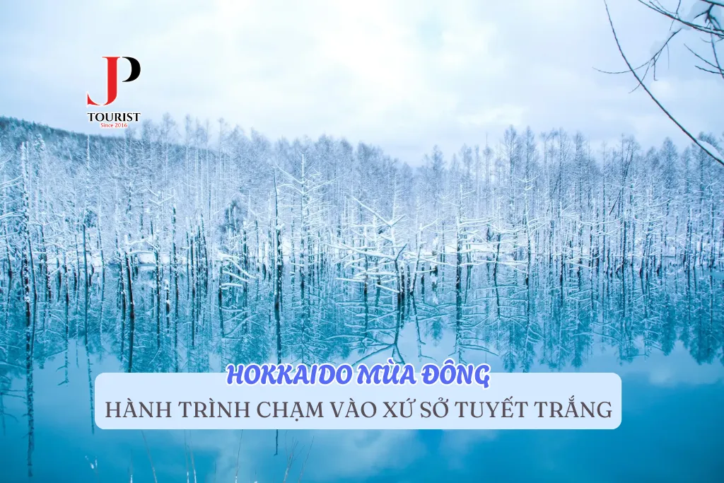 HOKKAIDO MÙA ĐÔNG – HÀNH TRÌNH CHẠM VÀO XỨ SỞ TUYẾT TRẮNG