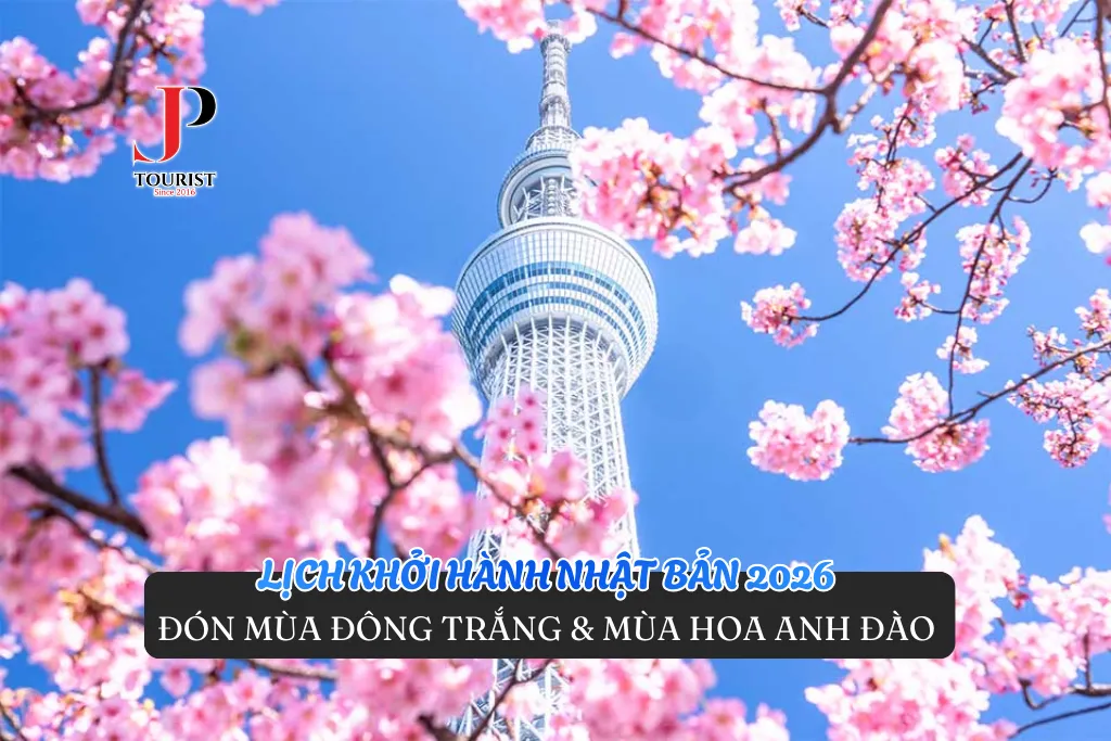 LỊCH KHỞI HÀNH NHẬT BẢN 2026 – ĐÓN MÙA ĐÔNG TRẮNG & MÙA HOA ANH ĐÀO