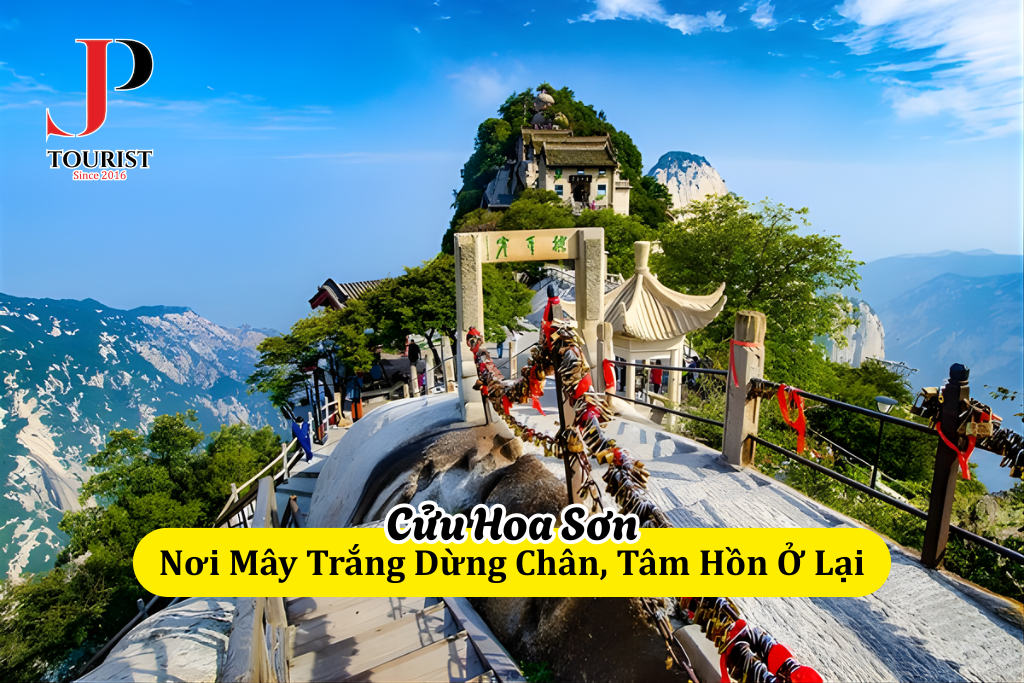 Cửu Hoa Sơn – Nơi Mây Trắng Dừng Chân, Tâm Hồn Ở Lại