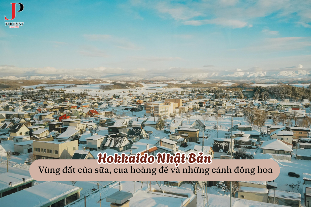 Du lịch Hokkaido – Vùng đất của sữa, cua hoàng đế và những cánh đồng hoa