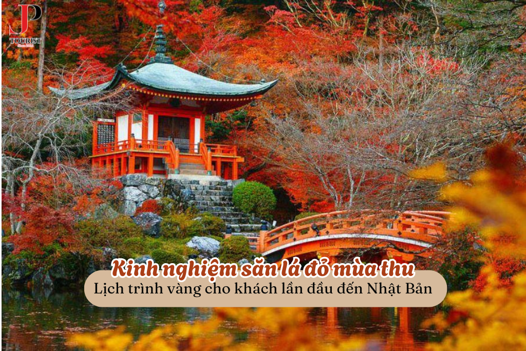 Kinh nghiệm săn lá đỏ mùa thu: Lịch trình vàng cho khách lần đầu đến Nhật Bản