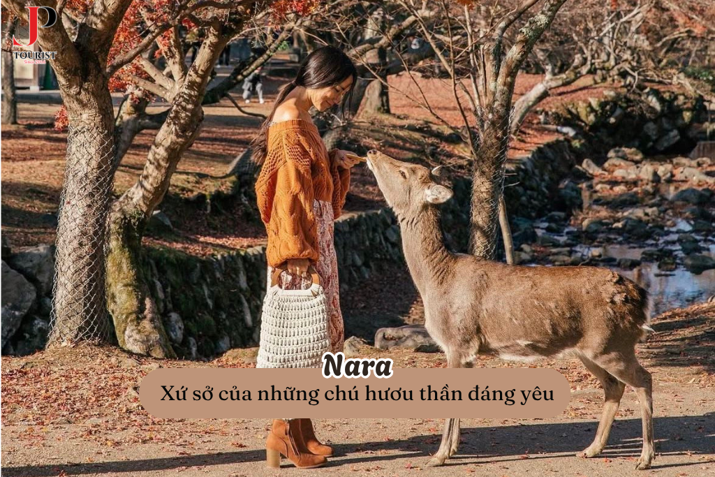 Nara - Xứ sở của những chú hươu thần đáng yêu