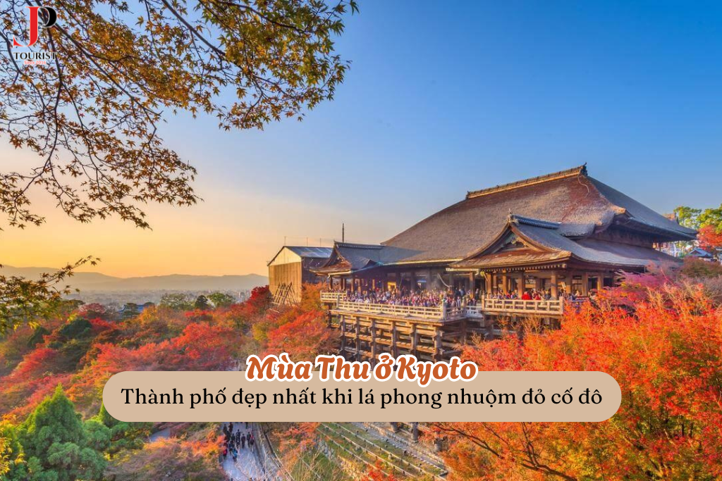 Du lịch Nhật Bản mùa thu: Kyoto – Thành phố đẹp nhất khi lá phong nhuộm đỏ cố đô