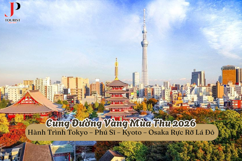 Cung Đường Vàng Mùa Thu 2026: Hành Trình Tokyo – Phú Sĩ – Kyoto – Osaka Rực Rỡ Lá Đỏ