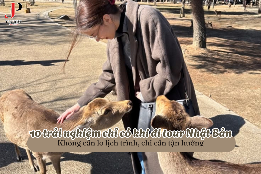 10 trải nghiệm chỉ có khi đi tour Nhật Bản: Không cần lo lịch trình, chỉ cần tận hưởng