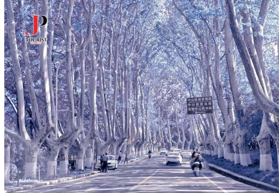 DU LỊCH TRUNG QUỐC: NAM KINH - Ô TRẤN - THƯỢNG HẢI - HÀNG CHÂU 5N4D