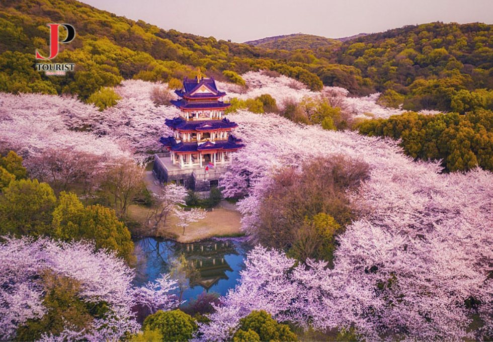 DU LỊCH TRUNG QUỐC: NAM KINH - Ô TRẤN - HÀNG CHÂU - THƯỢNG HẢI 5N4D