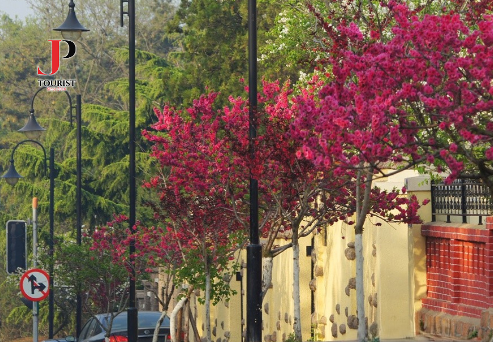 DU LỊCH TRUNG QUỐC: YÊN ĐÀI - UY HẢI - THANH ĐẢO 5N4D