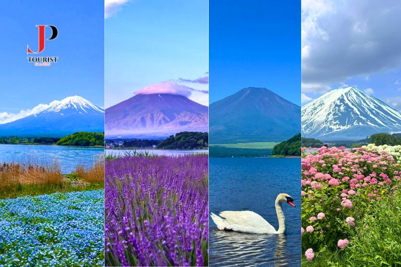 DU LỊCH NHẬT BẢN CUNG ĐƯỜNG VÀNG MÙA HÈ 6N5D