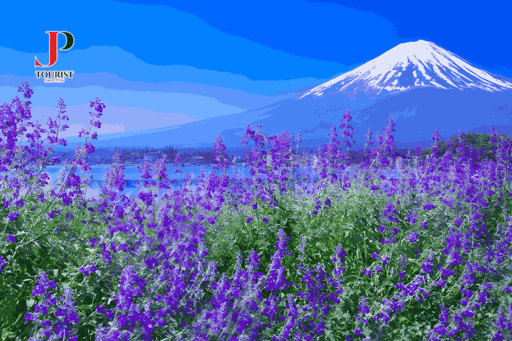 LỄ 30/04 - DU LỊCH NHẬT BẢN CUNG ĐƯỜNG VÀNG MÙA HÈ 6N5D