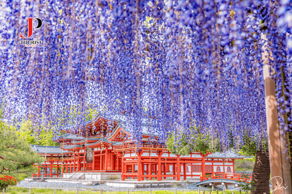 LỄ 30/04 - CUNG ĐƯỜNG LÀNG CỔ SHIRAKAWAGO 6N5D